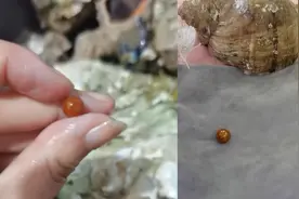女子称吃海螺吃出海螺珠遭网友质疑当事人：是幸运珠，不出售视频封面