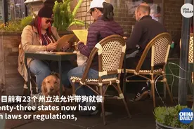 美国人带狗就餐成潮流 宠物狗影响就餐引争议视频封面