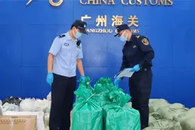 震惊！广州海关查获走私人体血液样本，部分血液竟检出病毒视频封面