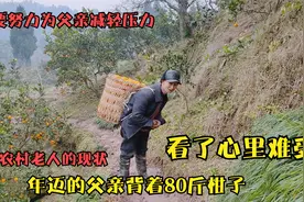 实拍四川达州农村最真实的生活，70岁父亲依然辛苦劳作，看了心疼视频封面