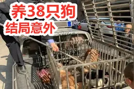 房间里养38只狗，小区变得臭气熏天，工作人员多次上门结局遗憾视频封面