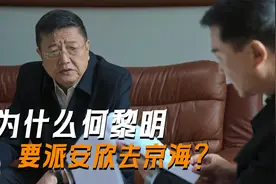 《狂飙》何黎明为什么要派徐忠去京海？他可是赵立冬的隐藏保护伞视频封面