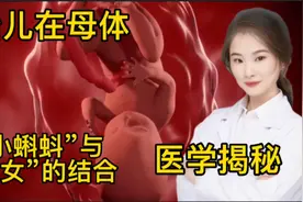 医学演绎 揭秘人体婴儿是如何形成 从小蝌蚪到婴儿人类诞生全过程视频封面