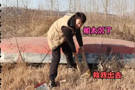 带金毛出来转眼不见了，等找到它时气坏小亮，该怎么把它解救出来视频封面
