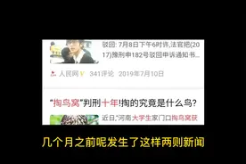 农村常见的野生保护动物，千万碰不得！原来野猪不是二级保护动物视频封面