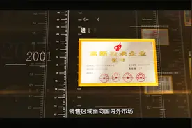 青岛大丰食品二十周年庆——扎根胶州二十年的辣椒酱生产厂家视频封面