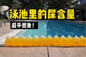 泳池里有多少尿？漂亮国游泳队全员哮喘原因找到了。视频封面
