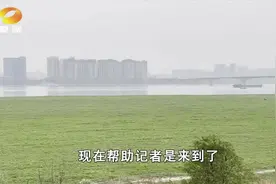 叔叔阿姨们 这里的油菜苔别摘了！视频封面