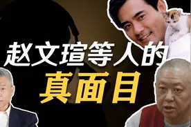 司马南：间谍汉奸不止在电视剧里,警惕赵文瑄等人的真面目视频封面
