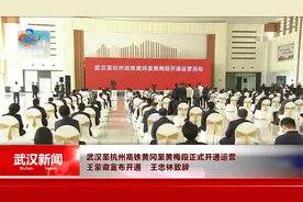 武汉至杭州高铁黄冈至黄梅段正式开通运营视频封面