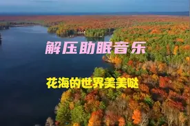 【解压助眠音乐】行动是成功的阶梯，行动越多，登得越高。视频封面