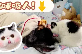 主人居然被猫吸了？监控拍下了这一幕，喵：太刺激了视频封面