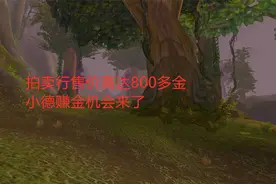魔兽世界怀旧服：拍卖行售价高达800多金，小德赚金机会来了视频封面
