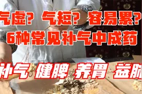 气虚、容易累？6种常用补气中成药，补气健脾，养胃益肺视频封面