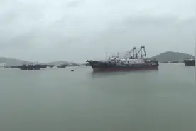台风“圆规”过境 广东多地停课停运视频封面