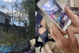 近90岁奶奶徒手上树被家人拍下，看到自己爬树视频奶奶反应亮了视频封面