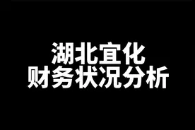 湖北宜化财务状况分析，看完你一定会有收获视频封面