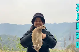山下不敢去，家里快没荤菜了，冬宝给媳妇儿买只野鸡炖，非常美味视频封面