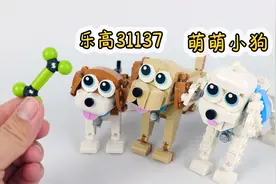 开箱乐高创意百变31137萌萌小狗，你喜欢这些可爱的小狗吗？视频封面