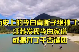 历史上的李白真断子绝孙了？江苏发现李白家谱，或揭开了千古谜团视频封面
