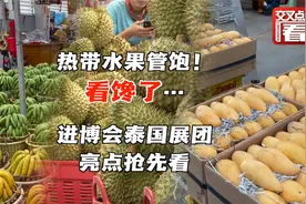 泰国热带水果将亮相进博会！RCEP“加持”，中泰合作走上新高度视频封面