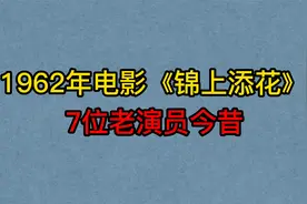 1962年喜剧电影《锦上添花》7位老演员，韩非，凌元，赵子岳视频封面