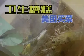 美团买菜把达文西恶心坏了，菜里有蛆在蠕动，一天吃不下饭视频封面