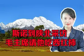 毛主席请斯诺吃西红柿，说在蒋介石眼里，我们就是西红柿视频封面