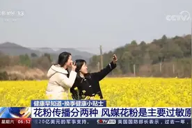 春季花粉过敏元凶多是树木杂草视频封面
