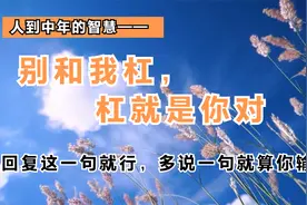 人到中年的智慧——别和我杠，杠就回复这一句话就行了视频封面