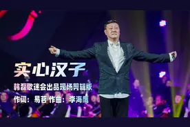 韩磊-实心汉子（韩磊歌迷会出品现场剪辑版MV）视频封面