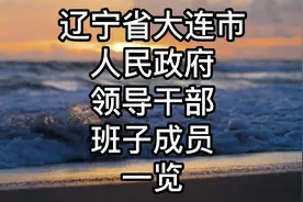 辽宁省-大连市人民政府领导干部班子成员一览视频封面