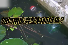 废弃塑料瓶也能捕鱼？用废弃瓶子制作地笼，看看效果怎么样视频封面