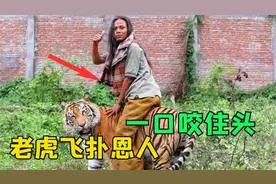 女子放生老虎，5年后再次重逢，老虎直接扑了上去场面一度失控！视频封面