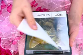 外国小可爱佳佳和爸爸快乐的一天生活 小朋友们来看看了视频封面