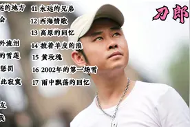 刀郎精选17首经典歌曲，完整版，百听不厌