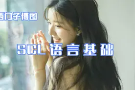P40 SCL语言之SCATTER_BLK指令