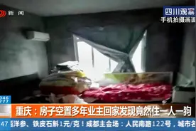 重庆：房子空置多年，业主回家发现里面竟然住着一人一狗？