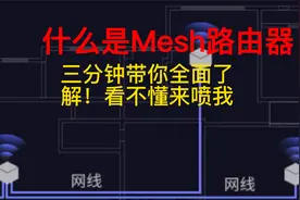 什么是Mesh路由，看完不懂喷我视频封面