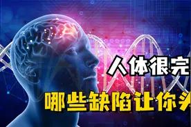在千百万年的进化之中，人类的生理结构还有哪些不合理的地方？视频封面