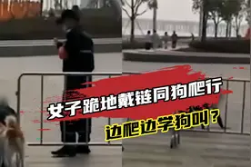 深圳一女子跪地戴链同狗爬行，还学狗叫？警方：已批评教育视频封面