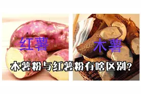 木薯跟红薯究竟有什么区别？视频封面