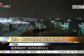 湛江：来历不明猪肉被运到硇洲岛贩卖视频封面
