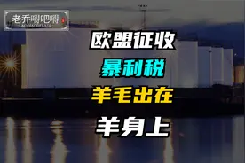 欧盟征收暴利税，羊毛出在羊身上视频封面