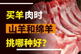 冬天买羊肉，“绵羊”和“山羊”哪个好？区别挺大的，了解一下视频封面