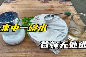 家中一碗水，苍蝇无处逃，简单方便效果好，来多少灭多少视频封面