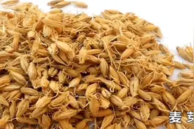 大麦茶有什么作用呢？老中医现场讲解，看完记得转给家人