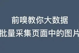 前嗅教你大数据：批量采集网页中的图片数据视频封面