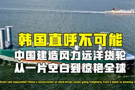 30万吨远洋巨轮，风力驱动往前跑，中国重器填补全球技术空缺视频封面