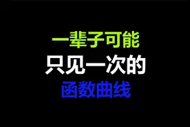 这些稀奇古怪的“函数”图像！一辈子见一次就够了视频封面